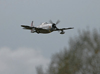 P-47D Thunderbolt / Razorback